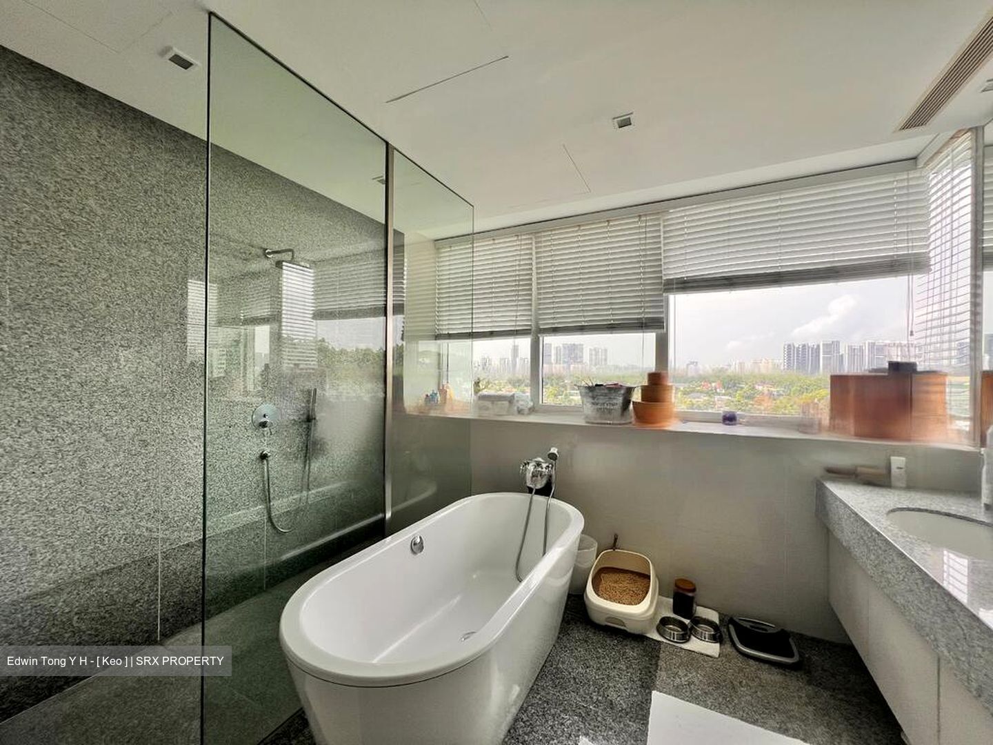 Grange Residences (D10), Condominium #460176611